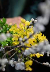 levangabechava 
 
6 
2026-04-08 20:49:45