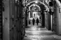 alik 
Old Jerusalem 
6 
2026-04-10 21:36:32