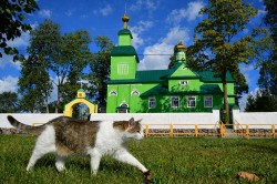 Adam Falkowski 
 
9 
2026-04-11 16:39:17