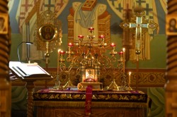 jarek 
Easter night in Zwierki Convent, 2026 
2026-04-18 17:30:37