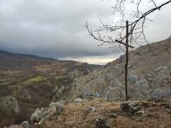 Slobodan. 
 
2026-04-22 07:59:15