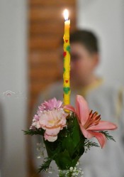levangabechava 
 
2026-05-06 15:36:52