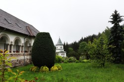 anamariaavram 
Holy Văleni Monastery Argeș  
3 
2026-05-09 21:12:00
