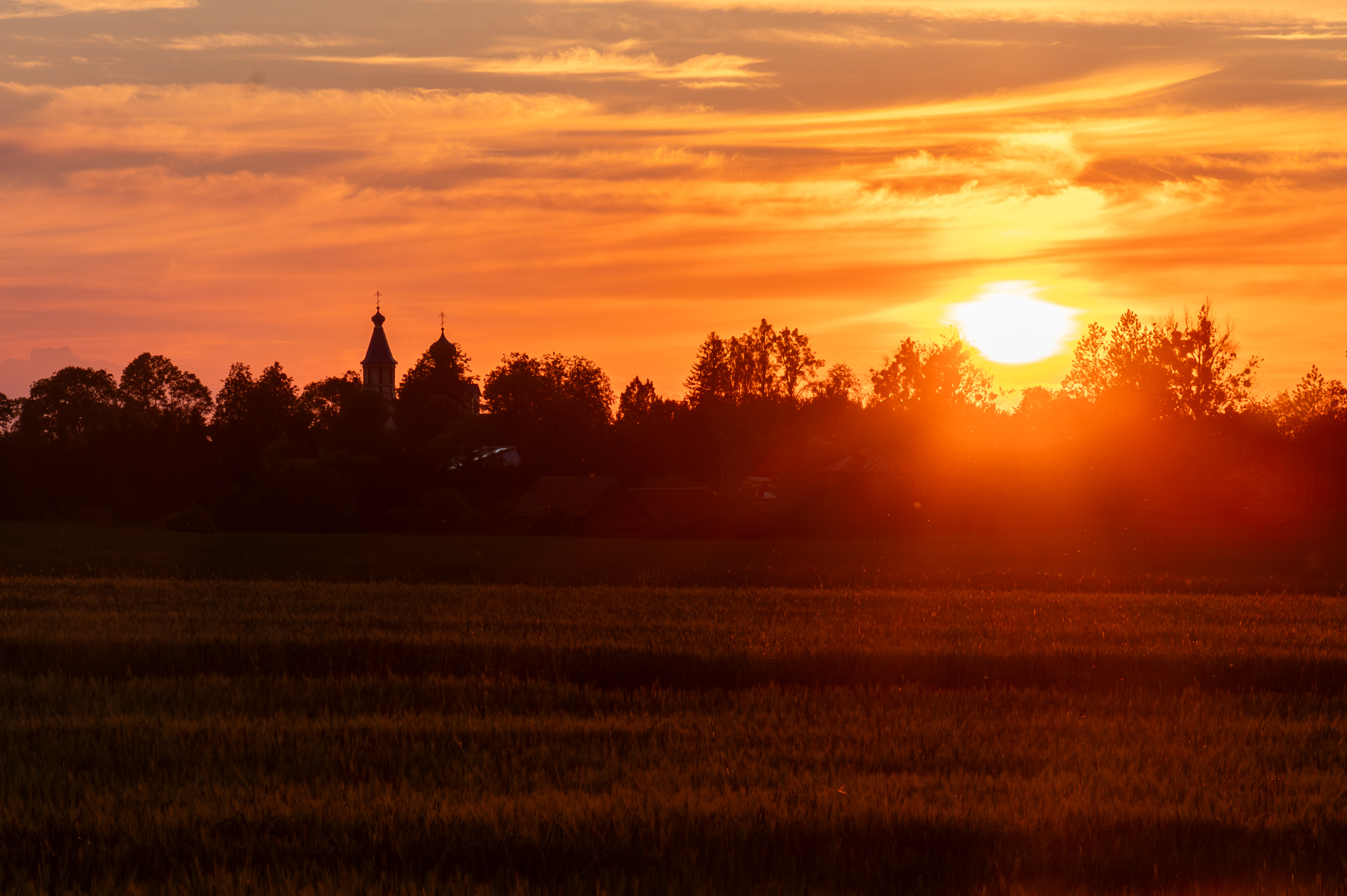 Łosinka