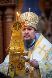 palavos 
Abp Jerzy 
2026-07-12 11:19:32