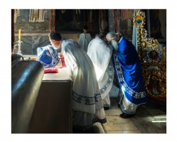 Викентије 
Детаљ са Свете Литургије/A detail from the Divine Liturgy 
6 
2026-07-23 18:11:47