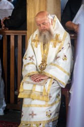 palavos 
Abp Grzegorz 
2026-09-02 21:54:15