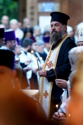 jarek11