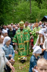 palavos