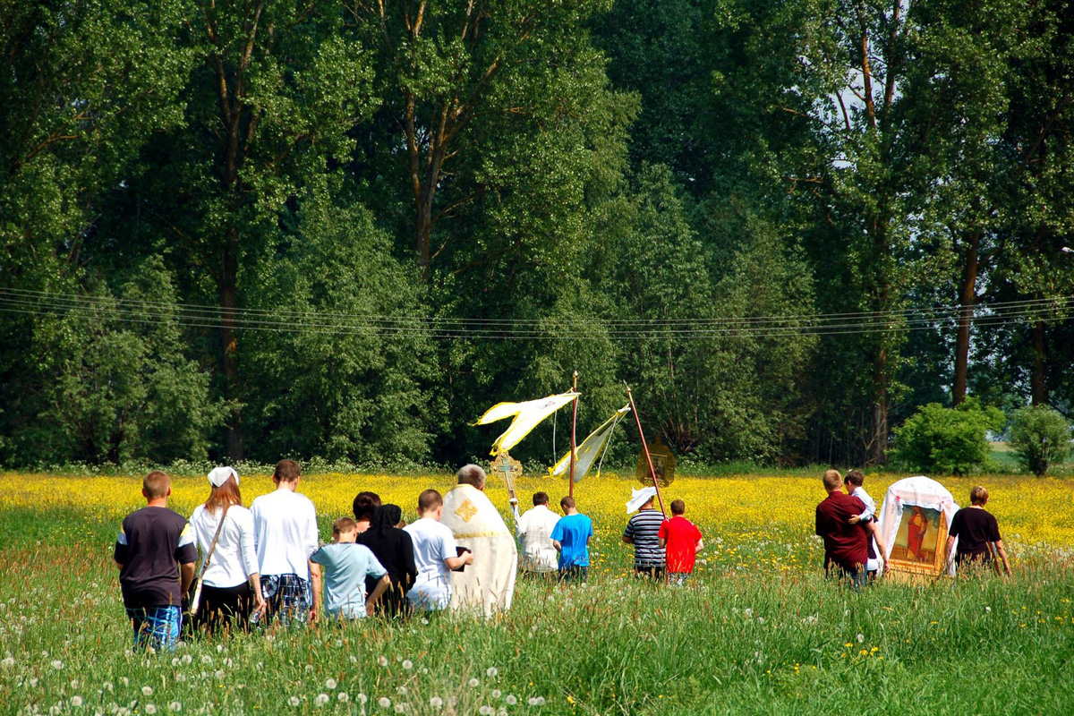 Obchody pól w Szczytach 