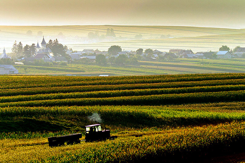 Between Work & Faith  