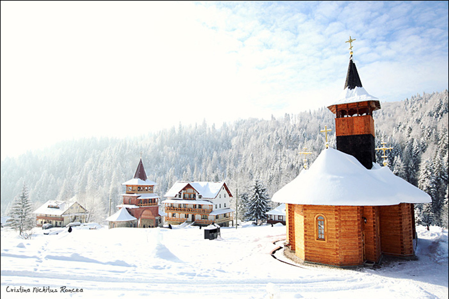  Manastirea Paltin, Petru Voda    