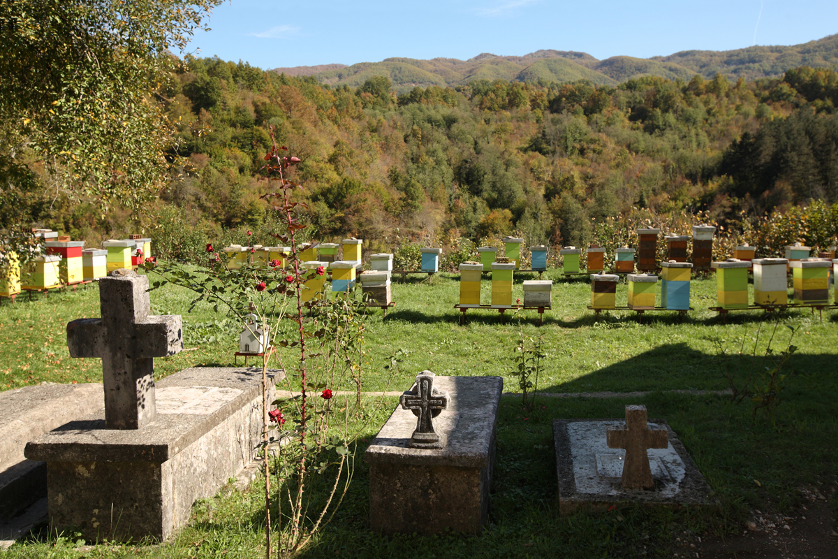 В монастыре Морача 